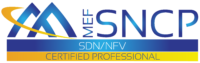 MEF_Official_MEF-SNCP_Logo_Gradient_Yellow_Blue_RGB_Jan-23-2020-outlined-01